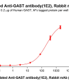 antibody-dme101186b gast elisa1