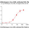 antibody-dme101187b a29l elisa1