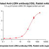 antibody-dme101188b lgr4 elisa1