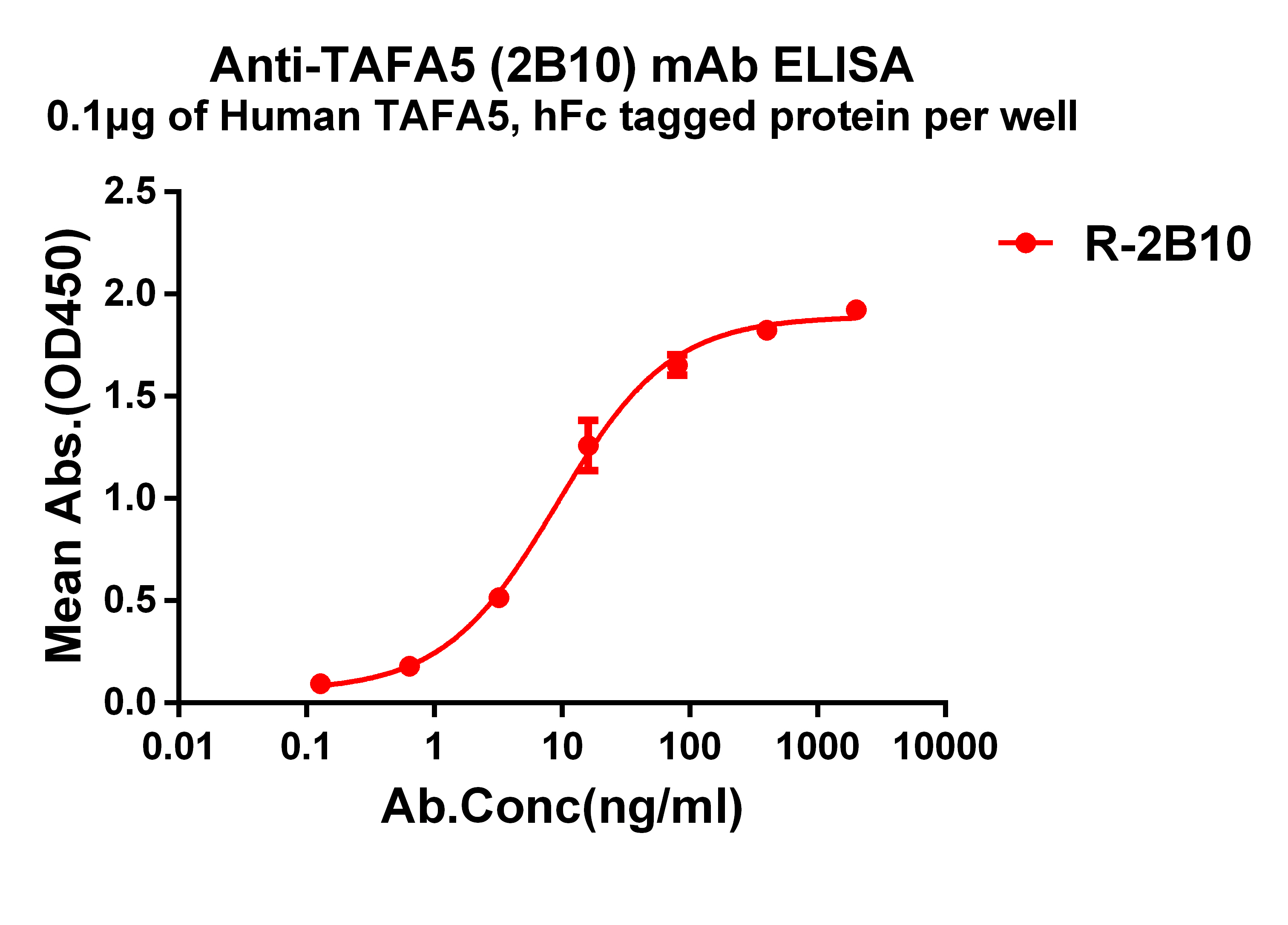 dme101202-tafa5-elisa1.jpg