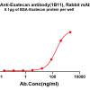 antibody-dme101320b exatecan elisa1