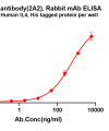 antibody-dme101326 il4 elisa1