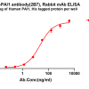antibody-dme101331 pai1 elisa1