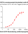 Elisa-BME100005 Anti CD70 vorsetuzumab biosimilar mAb Elisa fig1