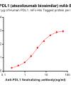 Elisa-BME100009 Anti PDL1 atezolizumab biosimilar mAb Elisa fig1