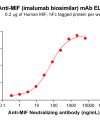 Elisa-BME100098 BM237 Anti MIF ELISA Fig1