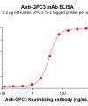 Elisa-BME100147 BM300 1 Anti GPC3 ELISA Fig1