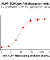 Elisa-BME100167 ALPP Fig.2 Elisa 1