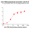 Elisa-BME100173 TIM3 Fig.2 Elisa 1