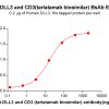 Elisa-bme100264 dll3 cd3 elisa1