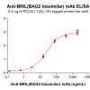 Elisa-bme100279 bril elisa1