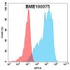 FC-Anti BME100075 CLDN18.2 mAb zolbetuximab