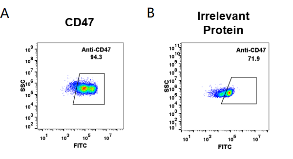 BME100001-Anti-CD47daratumumab-biosimilar-mAb-FLOW-Fig1.png