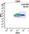 FC-BME100020 Anti CD40 iscalimab biosimilarmAb FLOW Fig2 A