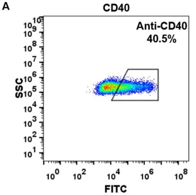 FC-BME100020 Anti CD40 iscalimab biosimilarmAb FLOW Fig2 A