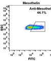 FC-BME100021 Anti Mesothelin amatuximab biosimilar mAb FLOW Fig2 A