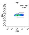 FC-BME100023 Anti Trop2 sacituzumab govitecan biosimilar mAb FLOW Fig1 A