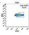 FC-BME100024 Anti TIGIT etigilimab biosimilar mAb FLOW Fig1 A