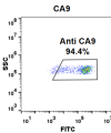 FC-BME100040 Anti CA9 girentuximab biosimilar mAb FLOW Fig1 A