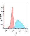 FC-BME100060 Anti VEGFR2 mAbramucirumab biosimilar FLOW Fig1