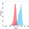 FC-BME100102 BM132 Anti CD56 FACS Fig1