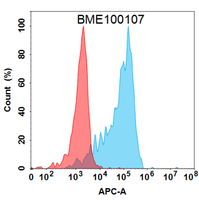 FC-BME100107 BM160 Anti DKK1 FACS Fig1