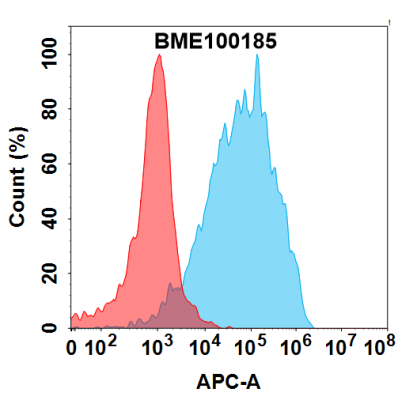 FC-BME100185 FZD10 Fig.2 FC 1