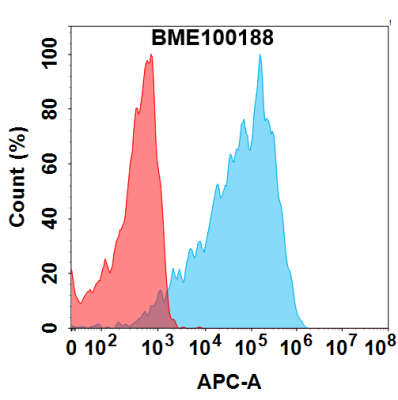 FC-BME100188 STEAP1 Fig.1 FC 1