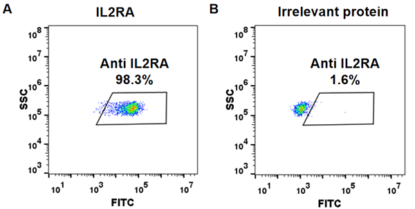 FC_combine-BME100043 Anti IL2RA basiliximab biosimilar mAb FLOW Fig1