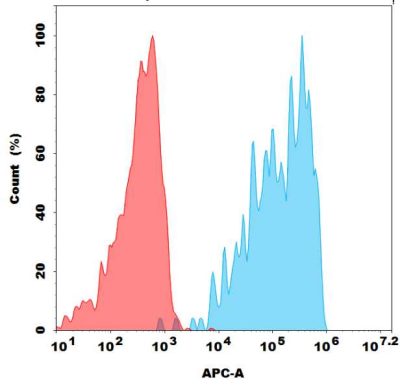 FC-bme100006b pd 1 fc1