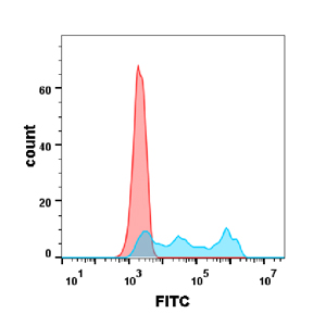 bme100017-cd30-fc1.jpg