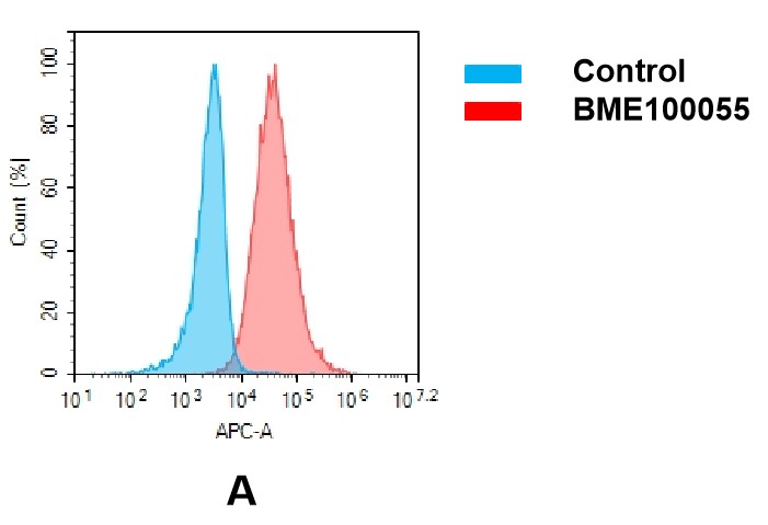 bme100055-csf1r-fc2.jpg