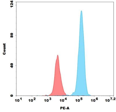 FC-bme100088p nectin4 fc1