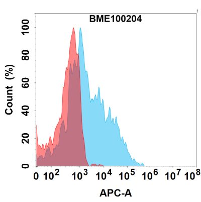 FC-bme100204 ccr5 fc1