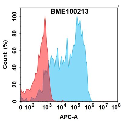 FC-bme100213 gm csfr fc1