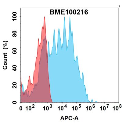 FC-bme100216 tem1 fc1