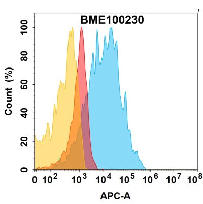 FC-bme100230 adam9 fc1