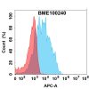 FC-bme100240 il13ra1 fc1