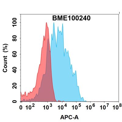 FC-bme100240 il13ra1 fc1