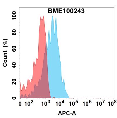 FC-bme100243 ildr2 fc1