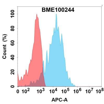 FC-bme100244 her3 fc1