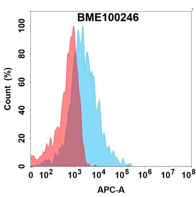 FC-bme100246 lepr fc1