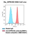 fc-cel100001 h gprc5d k562 cell line flow