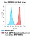 fc-cel100005 h egfr k562 cell line flow