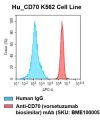 fc-cel100007 h cd70 k562 cell line flow