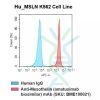 fc-cel100008 h msln k562 cell line flow