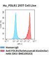 fc-cel100024 hu folr1 293t cell line flow