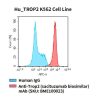 fc-cel100030 hu trop2 k562 cell line flow