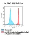 fc-cel100031 hu tim3 k562 cell line flow