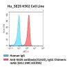 fc-cel100037 hu sez6 k562 cell line flow